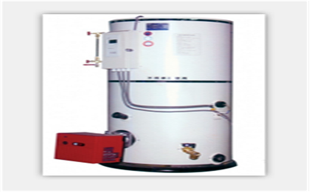 立式圓筒導(dǎo)熱油爐